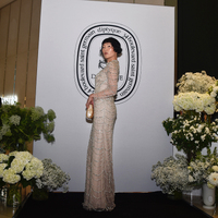 Elka Artsy Resin Clutch (Nude Shimmer)