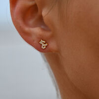 Capricorn Artisan Zirconia Pavé Stud Earrings (Gold)