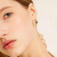 Lucien Parisian Dream Earrings
					