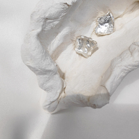 Frost Sculpture Silver Textured Earrings
					