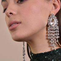 Rayne Crystal Diamante Earrings Silver (my ears are pierced)