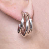 Laure Artsy Curved Lining Earrings (Silver) image