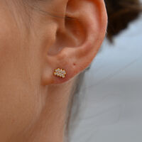 Aquarius Artisan Zirconia Pavé Stud Earrings (Gold) image