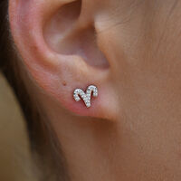 Aries Artisan Zirconia Pavé Stud Earrings (Silver) image