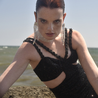 Bellatrix Catwalk Diamante Statement Earrings  image