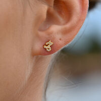 Capricorn Artisan Zirconia Pavé Stud Earrings (Gold) image