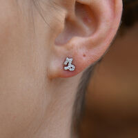 Capricorn Artisan Zirconia Pavé Stud Earrings (Silver) image