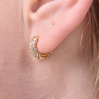Averie Dainty CZ Embellished Huggie Earrings (Gold) image