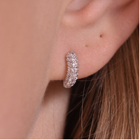 Averie Dainty CZ Embellished Huggie Earrings (Silver) image