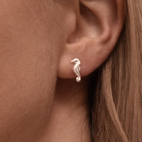 Sienna Dainty Seahorse Screw Back Earrings image