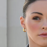Swarna Artisan Dolphin Hoop Earrings (Gold) image