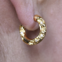 Briar Sculptural Sparkle Hoop Earrings (Gold Vermeil) image
