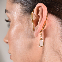 Echo Artsy Ear Frame Earrings image