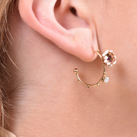Lucien Parisian Dream Earrings image