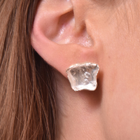 Frost Sculpture Silver Textured Earrings image