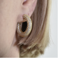 Elior Diamnate-embellished Hoop Earrings (Gold) image