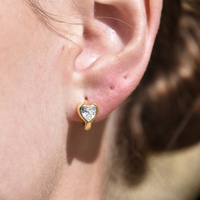 Delja Dainty Zircon Heart Huggie Earrings (Gold) image