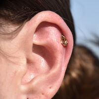Capricorn Helix Screw Back Earring (Gold Single Piece) image