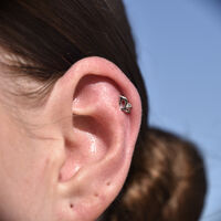 Capricorn Helix Screw Back Earring (Silver Single Piece) image