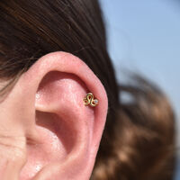 Leo Helix Screw Back Earring (Gold Single Piece) image