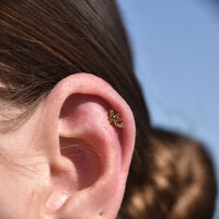 Pisces Helix Screw Back Earring (Gold Single Piece) image