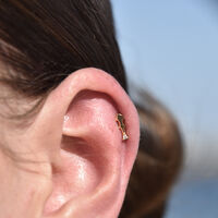 Sagittarius Helix Screw Back Earring (Gold Single Piece) image