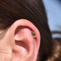 Scorpio Helix Screw Back Earring (Gold Single Piece) image