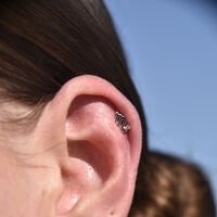 Scorpio Helix Screw Back Earring (Silver Single Piece) image