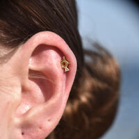 Taurus Helix Screw Back Earring (Gold Single Piece) image