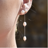Misha Freshwater Pearl Stud Earrings image