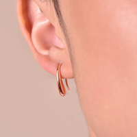Roxy Everyday Rose Gold Dainty Earrings image