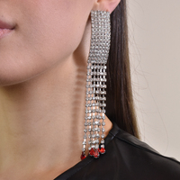 Lemaire Catwalk Diamante Tassel Earrings image