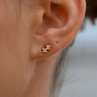 Sagittarius Artisan Zirconia Pavé Stud Earrings (Gold) image