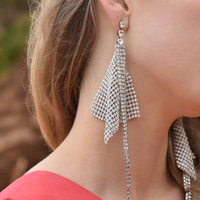 Gem Runway Spotlight Mesh Earrings image