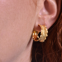 Remi Gold Vermeil Textured Earrings image
