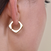 Klara Modern Gold Chic Huggie Earrings image