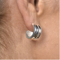 Hani Silver Curved Earrings  image