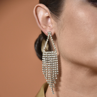 Labron Catwalk Diamante Tassel Earrings