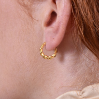 Maya Gold Filled Twisted Huggie Earrings image