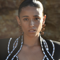 Darya Artsy Wave Earrings (Brown) image