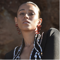 Darya Artsy Wave Earrings (Red) image