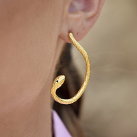 Charmante Artsy Winding Serpent Earrings image