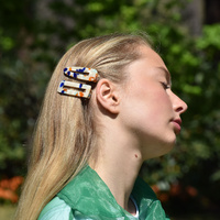 Breeze Contemporary Hair Clip Set image