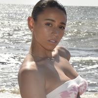 Adria Bow Tie Snake Chain Necklace (Silver) image