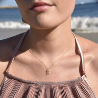 Capricorn Diamante Pendant Necklace (Gold) image
