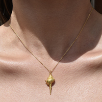Coralia Coastal Muse Shell Pendant Necklace (Gold Vermeil) image