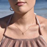 Gemini Diamante Pendant Necklace (Gold) image