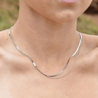 Ellamae Fine Dual Chain Necklace (Silver) image