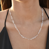 Elijah Textured Link Chain Necklace (Silver) image