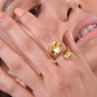 Sage Artisan Gold Vermeil Open Ring image